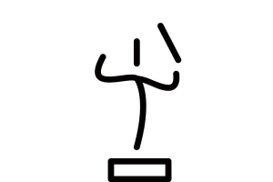 Lecture&Masterclass: Conducting Gestures